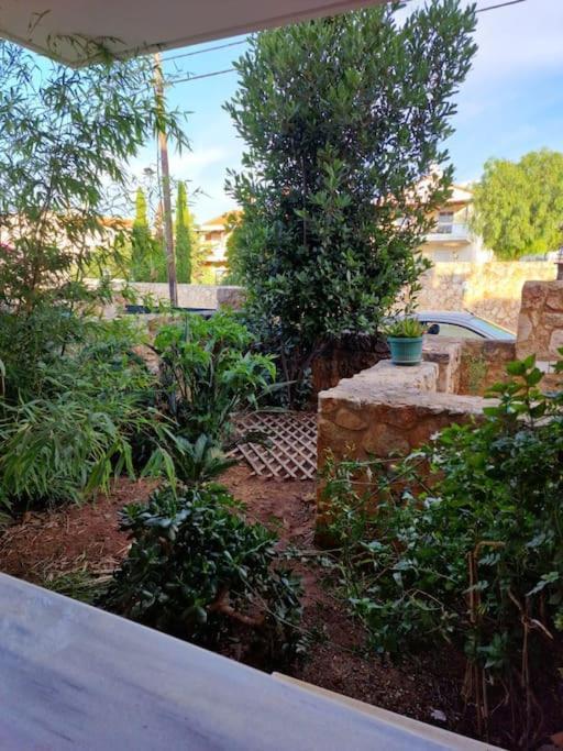 Korais Apartment, Chania Crete Kounoupidhianá Exteriör bild